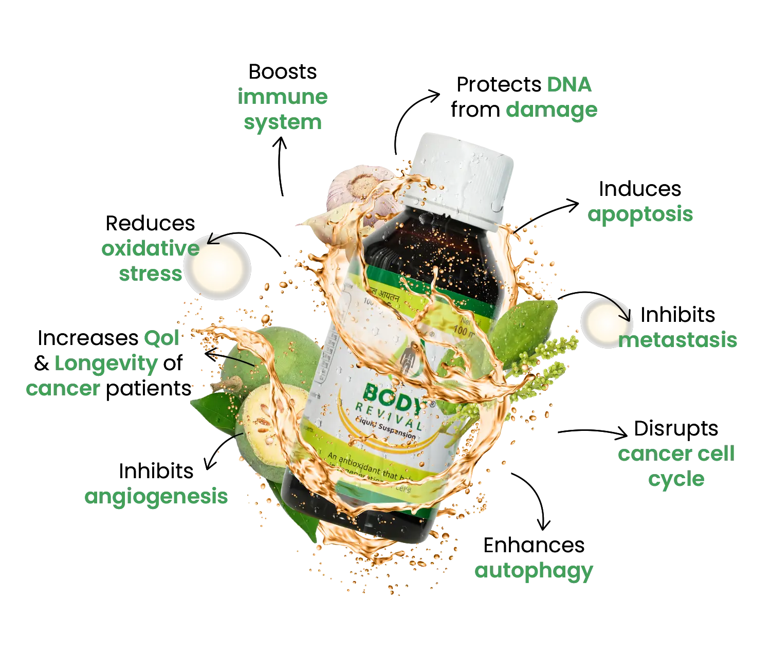 Body Revival Formulation & Benefits